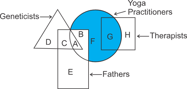 Representation based Venn Diagram