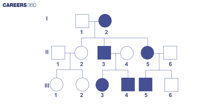 Pedigree Chart