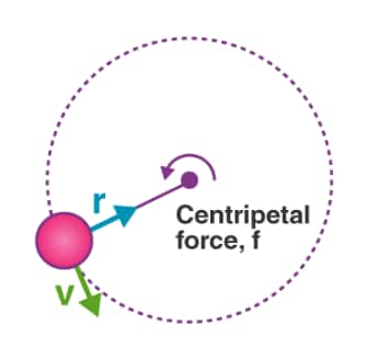 Centripetal acceleration is the acceleration of a body that is travelling across a circular path.  When a body undergoes a circular motion, its direction constantly changes and thus its velocity changes (velocity is a vector quantity) which produces an acceleration. The acceleration and hence force is towards the centre of the circle. The magnitude of centripetal acceleration ac is given by the square of speed v divided by the distance r;