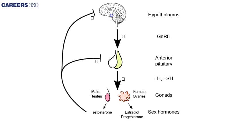 hormonal control