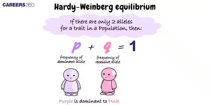 hardy-weinberg principle