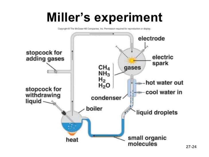 miller urey experiment