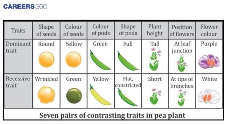 pea characters