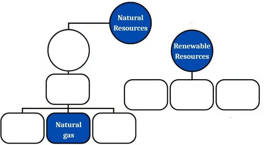 flow chart