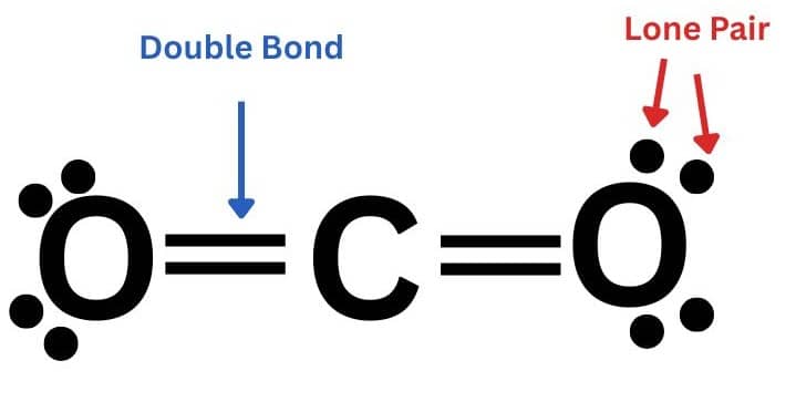 Double bond