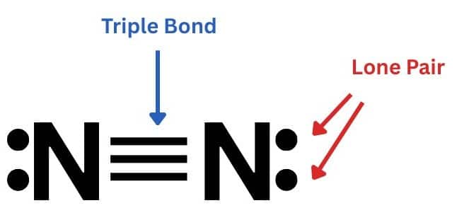 Triple Bond
