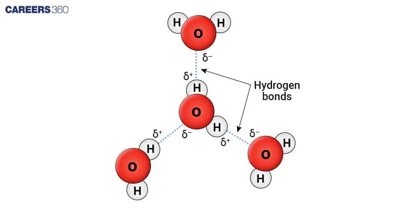 Diagram of water molecules showing hydrogen bonding, with oxygen atoms labeled as O, hydrogen atoms labeled as H, and dotted lines representing hydrogen bonds between molecules.