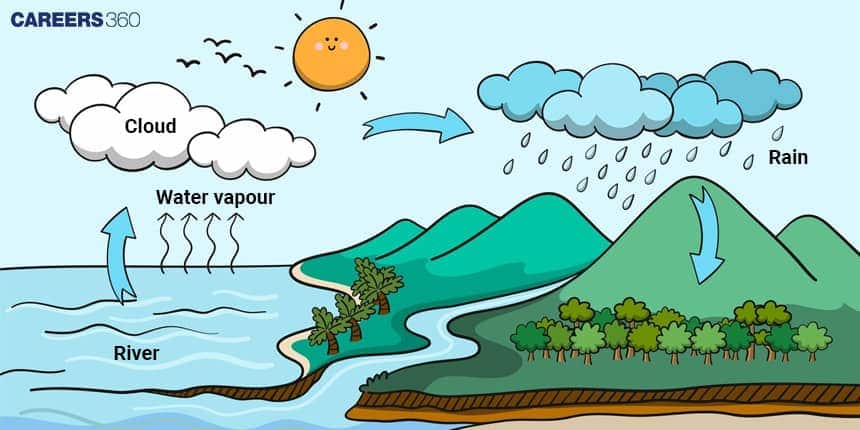 Illustration of the water cycle showing evaporation from a river forming clouds, condensation, and rainfall returning water to the land, with mountains, trees, and the sun in the background.
