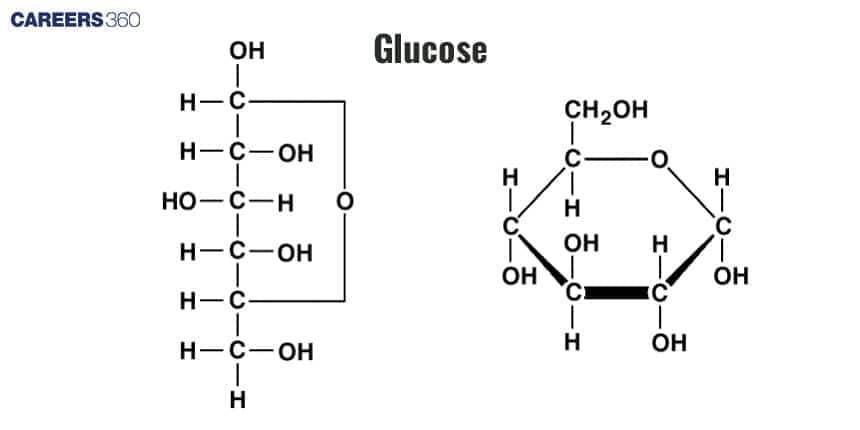 Diagram showing the structure of glucose in both linear and cyclic forms with labeled atoms and bonds.