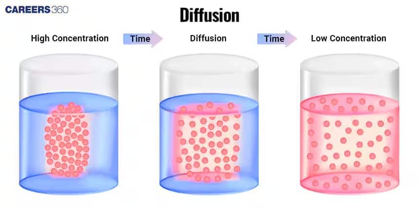 Diagram showing diffusion over time — particles move from an area of high concentration to low concentration, becoming evenly distributed within a solution.