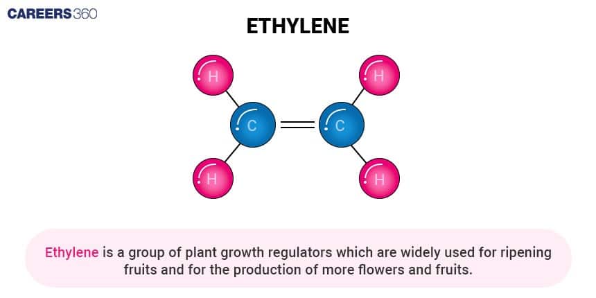Diagram showing the molecular structure of ethylene with two carbon atoms double-bonded to each other and each bonded to two hydrogen atoms. Below, text explains that ethylene is a plant growth regulator used to ripen fruits and promote flower and fruit production.