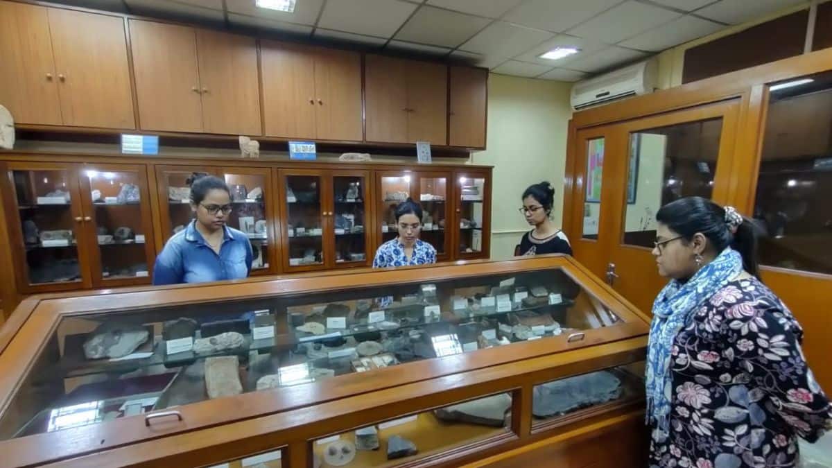 calcutta university botany department's paleobotany museum