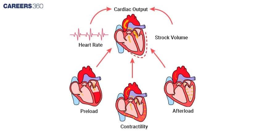 Cardiac Output