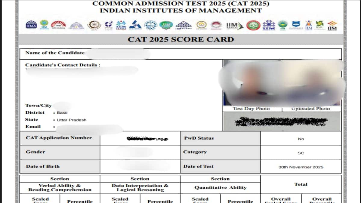 cat-2025-score-card-featured-image