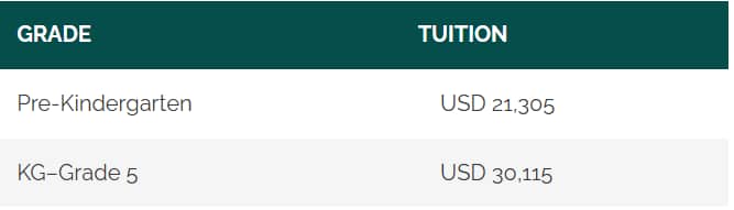 Fee Structure of The American Embassy School for 2024-25