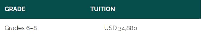 Fee Structure of The American Embassy School for 2024-25
