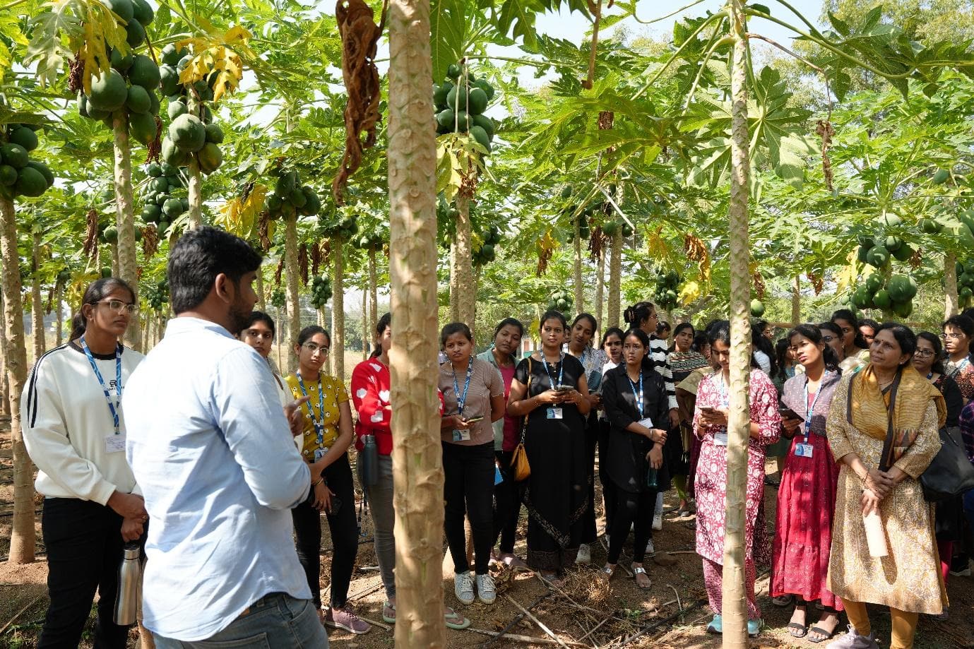 A group of people standing in a forest

AI-generated content may be incorrect.