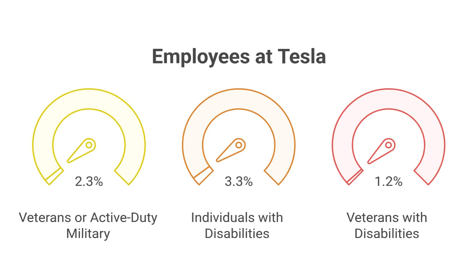 Employees at Tesla (Graphical Representation)