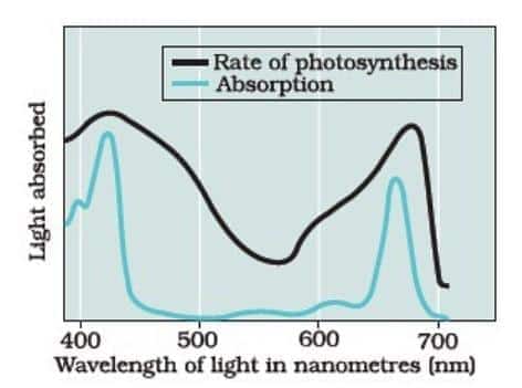 wavelengths