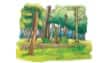 forest