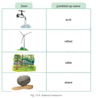 natural resource