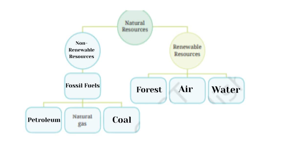 Flow chart answer