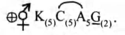 floral formula