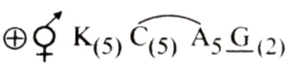1745159805958