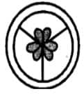 1745159806444