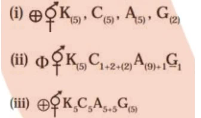 1745159806766