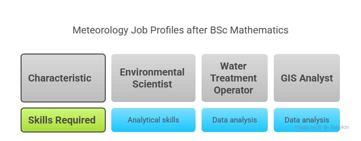 Best%20Career%20Options%20After%20BSc%20Mathematics%20-%20visual%20selection%20(11)