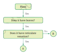 flow chart
