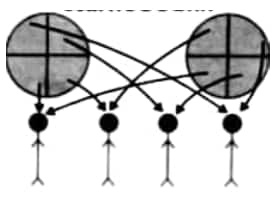 1749706648259
