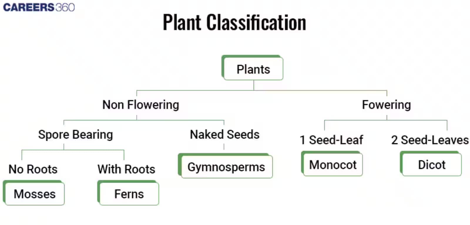 Plant classification