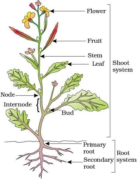 fig_5-1