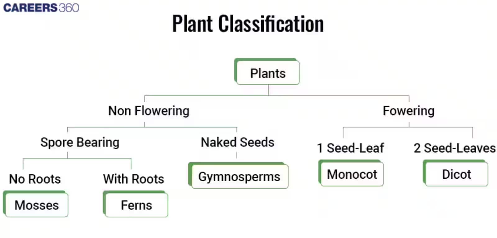 Plant classification
