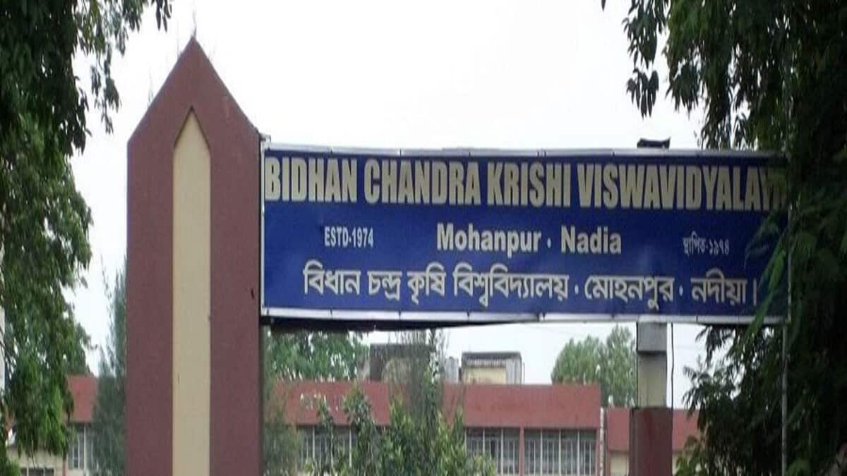 The WBJEE 2025 exam was conducted on April 27. 