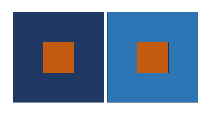 color interaction