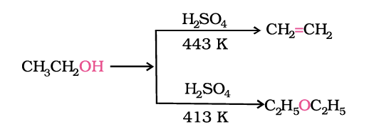 Dehydration of alcohol
