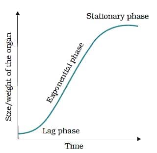 Sigmoid growth curve 
