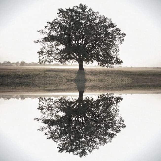 Mirror and water 