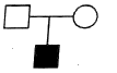 1752844900069