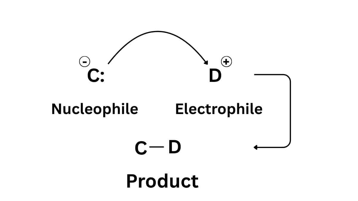 Nucleophile and Electrophile