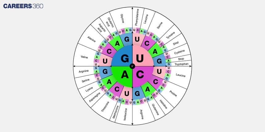 Genetic code chart