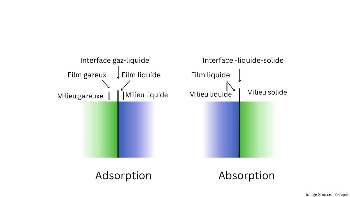 Adsorption and Absorption