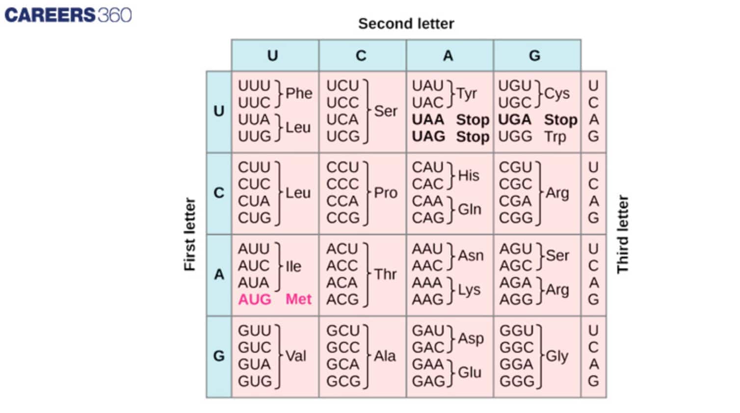Codon Table