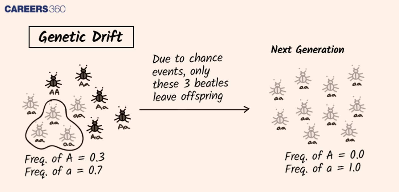 Genetic Drift