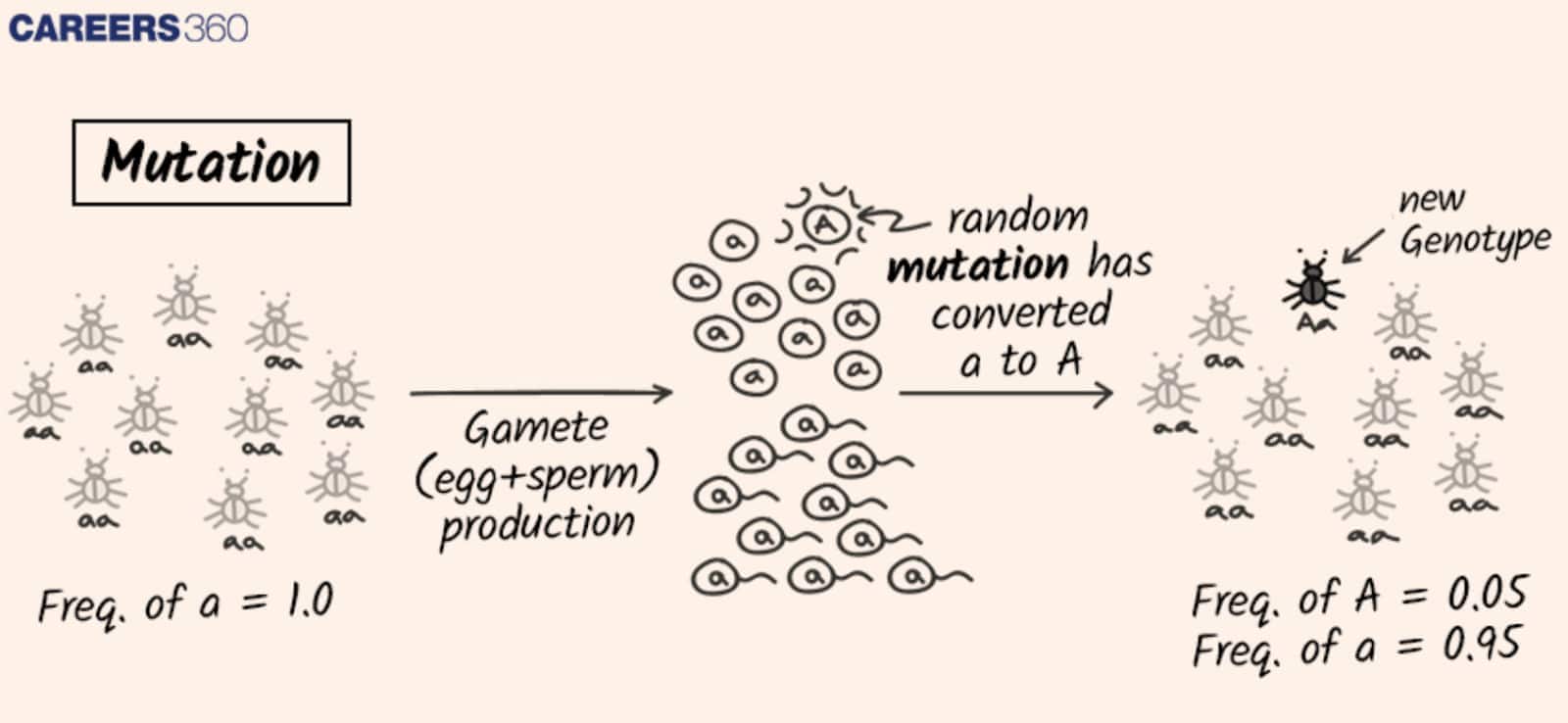 mutations