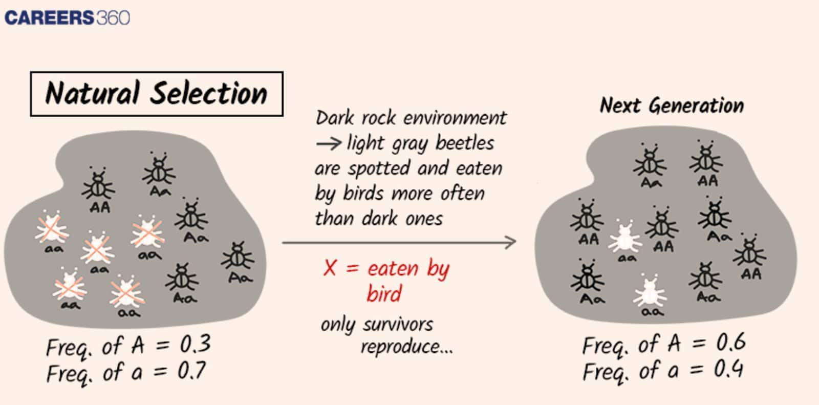 Natural Selection