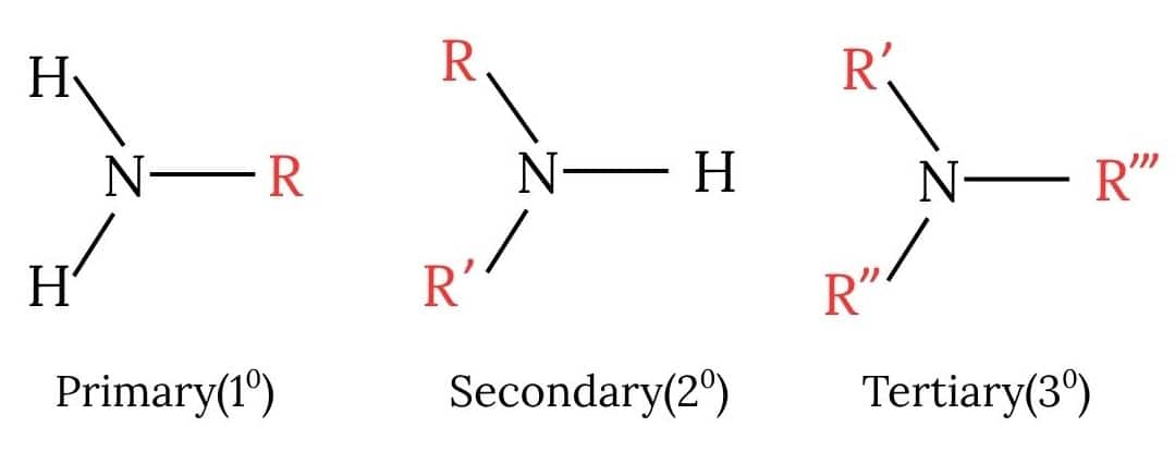 Classification of Amines